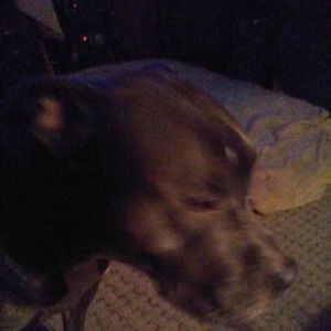 Meet your Posher, William